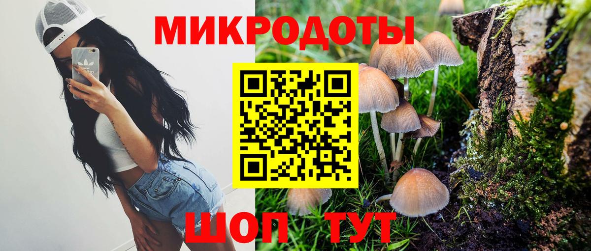 Псилоцибиновые грибы Psilocybe  Вход с VPN  Скопин 