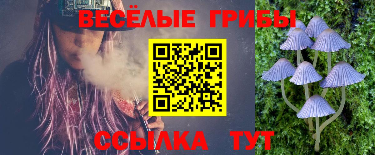 Каннабис  MDMA  МЕФ   Скопин  Мефедрон  МЕТАДОН  ГАШ  Гашиш  Alpha-PVP СОЛЬ   Вход с VPN 